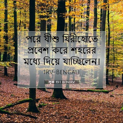 Picture 07 - লূক 19:1 BENIRV - পরে যীশু যিরীহোতে - Bible Verse Picture