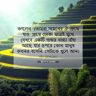 Picture 07 - লূক 19:30 BENIRV - বললেন, “তোমরা - Bible Verse Picture