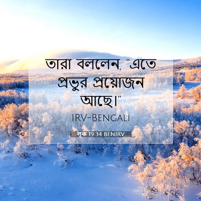 Picture 07 - লূক 19:34 BENIRV - তারা বললেন, “এতে - Bible Verse Picture