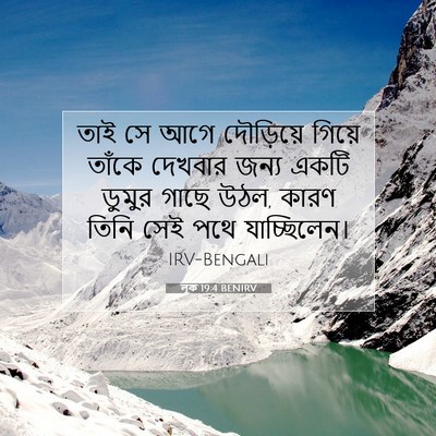 Picture 07 - লূক 19:4 BENIRV - তাই সে আগে - Bible Verse Picture