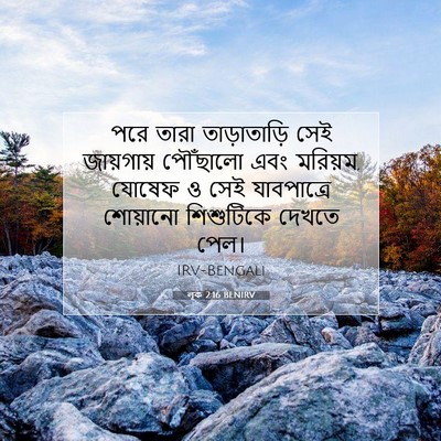Picture 07 - লূক 2:16 BENIRV - পরে তারা - Bible Verse Picture