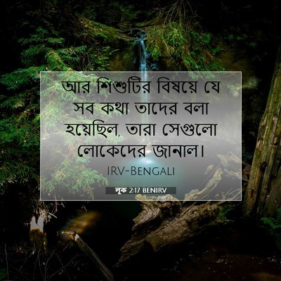 Picture 07 - লূক 2:17 BENIRV - আর শিশুটির বিষয়ে - Bible Verse Picture