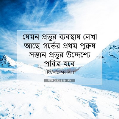 Picture 07 - লূক 2:23 BENIRV - যেমন প্রভুর - Bible Verse Picture