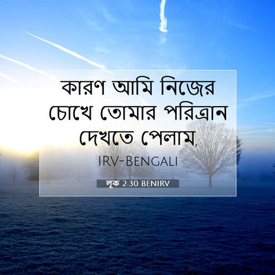 Picture 07 - লূক 2:30 BENIRV - কারণ আমি নিজের - Bible Verse Picture