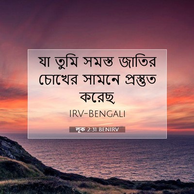 Picture 07 - লূক 2:31 BENIRV - যা তুমি সমস্ত - Bible Verse Picture