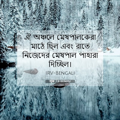 Picture 07 - লূক 2:8 BENIRV - ঐ অঞ্চলে - Bible Verse Picture