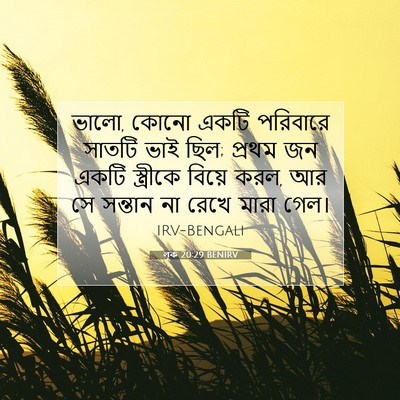 Picture 07 - লূক 20:29 BENIRV - ভালো, কোনো একটি - Bible Verse Picture