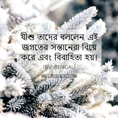 Picture 07 - লূক 20:34 BENIRV - যীশু তাদের বললেন, - Bible Verse Picture