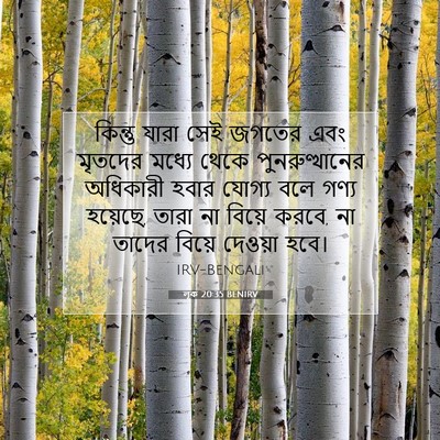 Picture 07 - লূক 20:35 BENIRV - কিন্তু যারা সেই - Bible Verse Picture