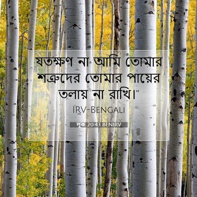 Picture 07 - লূক 20:43 BENIRV - যতক্ষণ না আমি - Bible Verse Picture