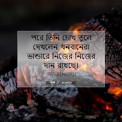 Picture 07 - লূক 21:1 BENIRV - পরে তিনি চোখ তুলে - Bible Verse Picture