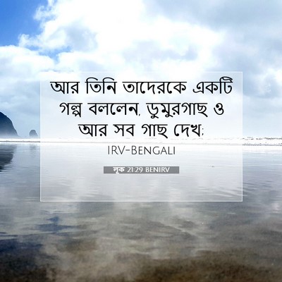 Picture 07 - লূক 21:29 BENIRV - আর তিনি তাদেরকে - Bible Verse Picture