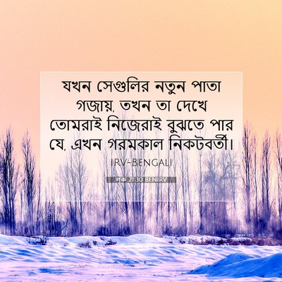 Picture 07 - লূক 21:30 BENIRV - যখন সেগুলির নতুন - Bible Verse Picture