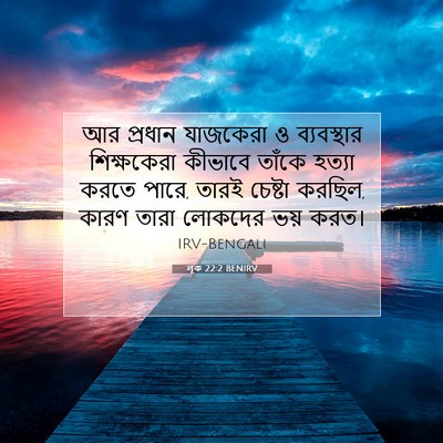 Picture 07 - লূক 22:2 BENIRV - আর প্রধান যাজকেরা - Bible Verse Picture