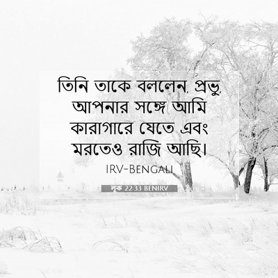 Picture 07 - লূক 22:33 BENIRV - তিনি তাকে বললেন, - Bible Verse Picture