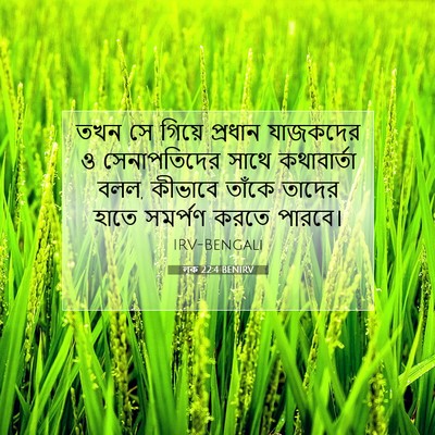Picture 07 - লূক 22:4 BENIRV - তখন সে গিয়ে - Bible Verse Picture