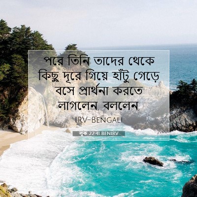 Picture 07 - লূক 22:41 BENIRV - পরে তিনি তাদের - Bible Verse Picture