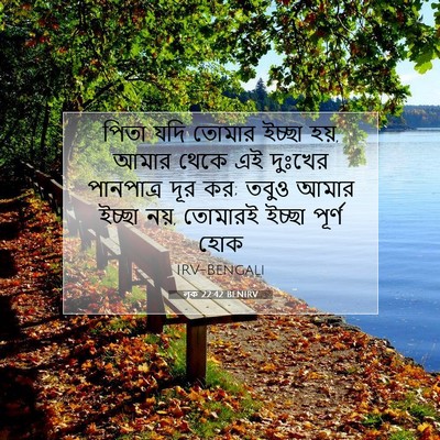 Picture 07 - লূক 22:42 BENIRV - পিতা যদি তোমার - Bible Verse Picture