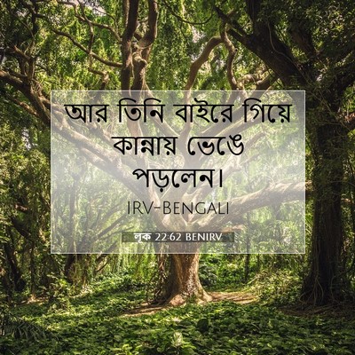 Picture 07 - লূক 22:62 BENIRV - আর তিনি বাইরে - Bible Verse Picture