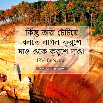 Picture 07 - লূক 23:21 BENIRV - কিন্তু তারা - Bible Verse Picture