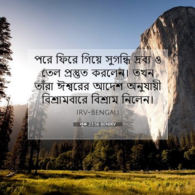 Picture 07 - লূক 23:56 BENIRV - পরে ফিরে গিয়ে - Bible Verse Picture