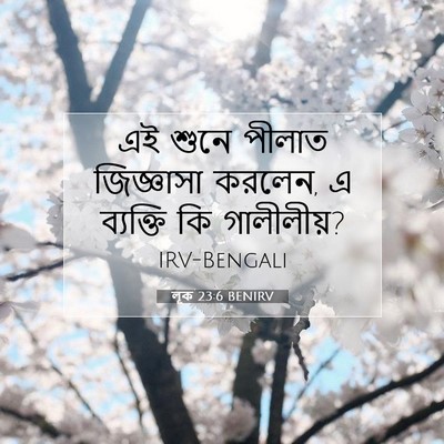 Picture 07 - লূক 23:6 BENIRV - এই শুনে পীলাত - Bible Verse Picture