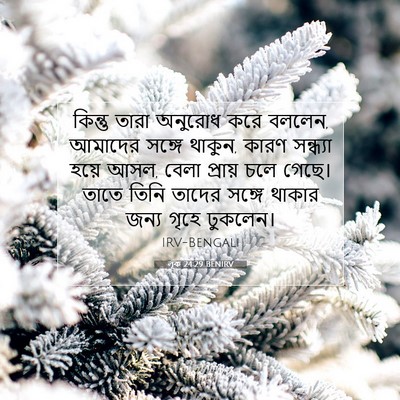 Picture 07 - লূক 24:29 BENIRV - কিন্তু তারা - Bible Verse Picture