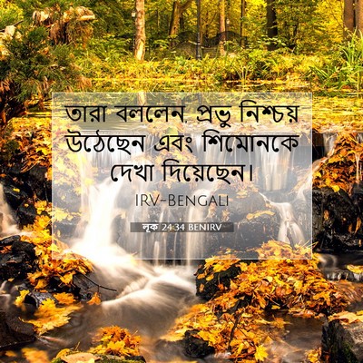 Picture 07 - লূক 24:34 BENIRV - তারা বললেন, প্রভু - Bible Verse Picture
