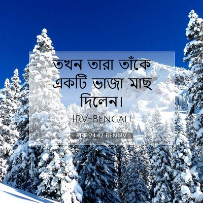Picture 07 - লূক 24:42 BENIRV - তখন তারা তাঁকে - Bible Verse Picture
