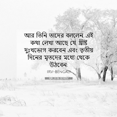 Picture 07 - লূক 24:46 BENIRV - আর তিনি তাদের - Bible Verse Picture