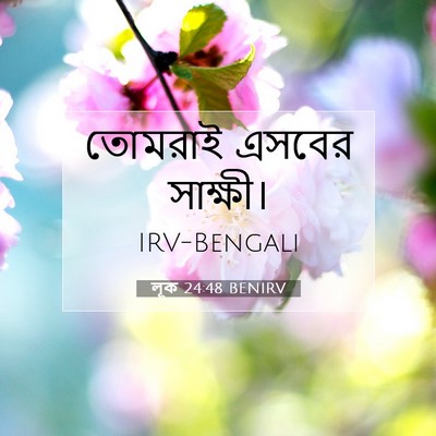 Picture 07 - লূক 24:48 BENIRV - তোমরাই এসবের - Bible Verse Picture