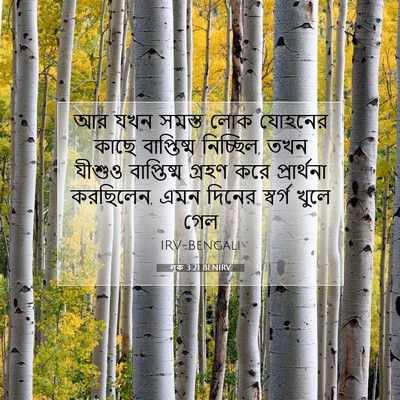Picture 07 - লূক 3:21 BENIRV - আর যখন সমস্ত লোক - Bible Verse Picture