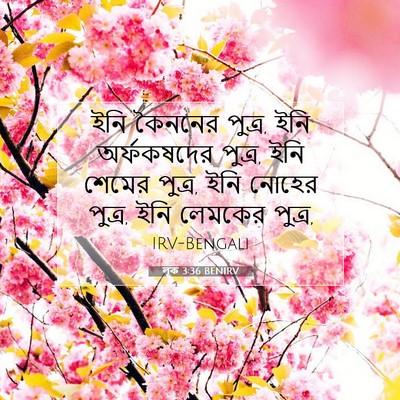 Picture 07 - লূক 3:36 BENIRV - ইনি কৈননের পুত্র, - Bible Verse Picture