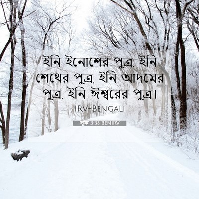 Picture 07 - লূক 3:38 BENIRV - ইনি ইনোশের পুত্র, - Bible Verse Picture