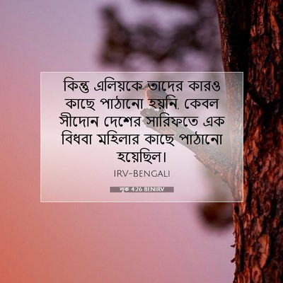 Picture 07 - লূক 4:26 BENIRV - কিন্তু এলিয়কে - Bible Verse Picture