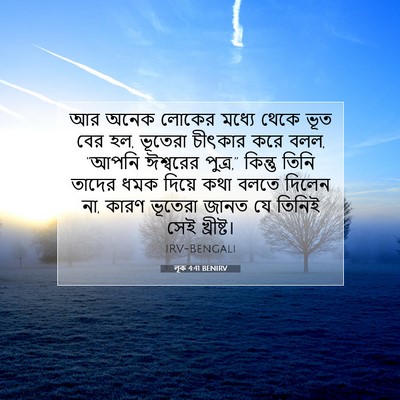 Picture 07 - লূক 4:41 BENIRV - আর অনেক লোকের - Bible Verse Picture