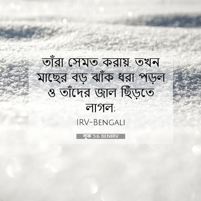 Picture 07 - লূক 5:6 BENIRV - তাঁরা সেমত করায়, - Bible Verse Picture