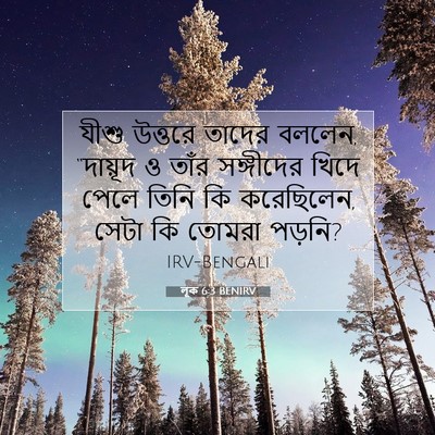 Picture 07 - লূক 6:3 BENIRV - যীশু উত্তরে তাদের - Bible Verse Picture