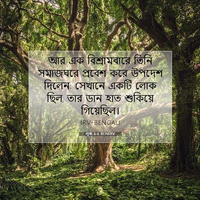 Picture 07 - লূক 6:6 BENIRV - আর এক বিশ্রামবারে - Bible Verse Picture