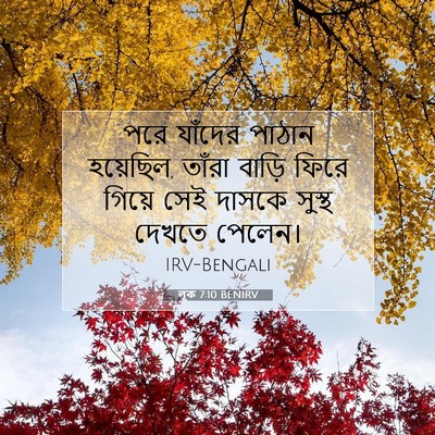Picture 07 - লূক 7:10 BENIRV - পরে যাঁদের পাঠান - Bible Verse Picture