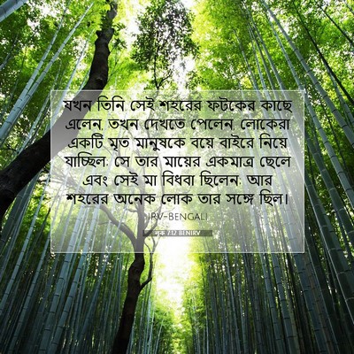Picture 07 - লূক 7:12 BENIRV - যখন তিনি সেই শহরের - Bible Verse Picture