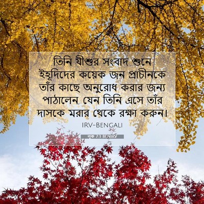 Picture 07 - লূক 7:3 BENIRV - তিনি যীশুর সংবাদ - Bible Verse Picture
