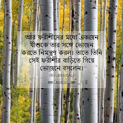 Picture 07 - লূক 7:36 BENIRV - আর ফরীশীদের মধ্যে - Bible Verse Picture
