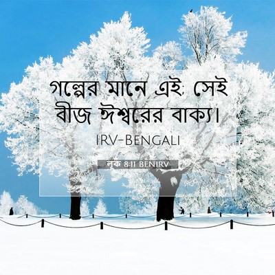 Picture 07 - লূক 8:11 BENIRV - গল্পের মানে এই; সেই - Bible Verse Picture