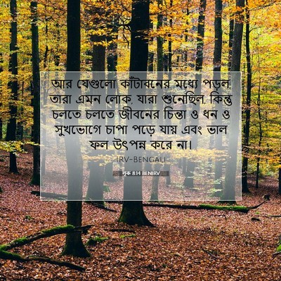 Picture 07 - লূক 8:14 BENIRV - আর যেগুলো - Bible Verse Picture