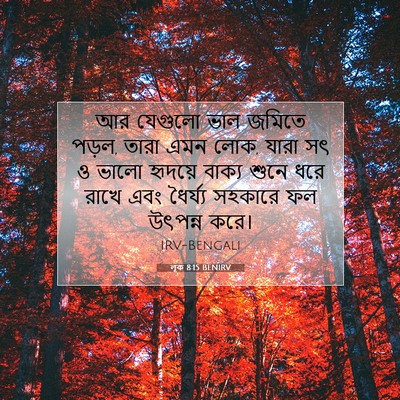 Picture 07 - লূক 8:15 BENIRV - আর যেগুলো ভাল - Bible Verse Picture