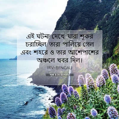 Picture 07 - লূক 8:34 BENIRV - এই ঘটনা দেখে, যারা - Bible Verse Picture