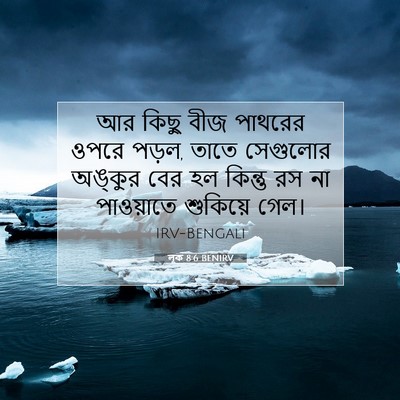 Picture 07 - লূক 8:6 BENIRV - আর কিছু বীজ পাথরের - Bible Verse Picture