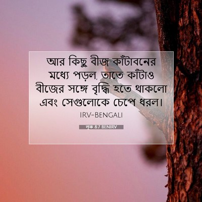 Picture 07 - লূক 8:7 BENIRV - আর কিছু বীজ - Bible Verse Picture