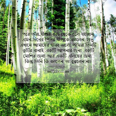 Picture 07 - লূক 9:33 BENIRV - পরে তাঁরা যীশুর - Bible Verse Picture